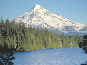 Lost Lake is lined by tall pine trees with a snowy mountain in the background