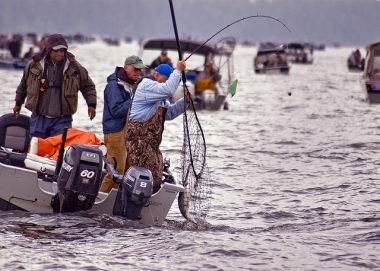 Anglers landing Columbia River spring Chinook