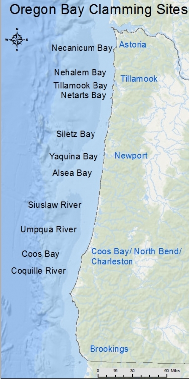 An image of the Oregon coast with bay clamming sites labeled