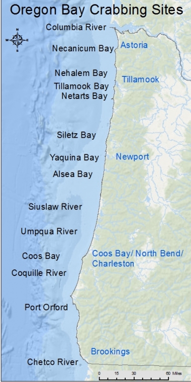 An image of the Oregon coast showing locations to go bay crabbing