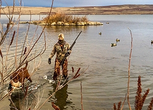 image of a wading duck hunter with their dog