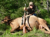 A boy poses with a cow elk he harvested and a rifle