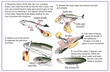 step by step instructions on how to clean a fish