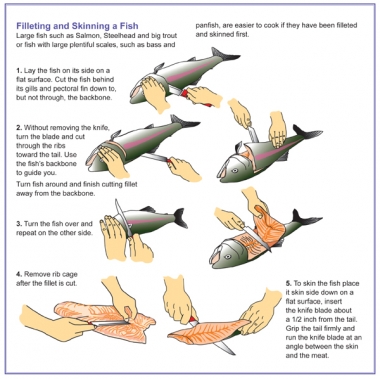 step by step instructions on how to filet a fish