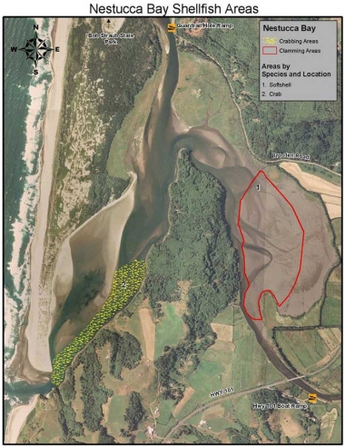 An aerial photo of the mouth of Nestucca Bay with colored overlay denoting areas for crabbing and clamming.