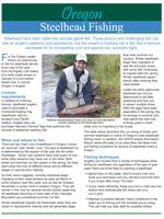a small image of the steelhead fishing flyer produced by ODFW