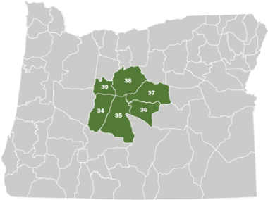 A map of Oregon with the Central Area colored in green