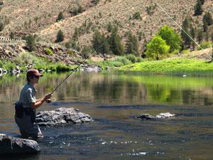 an angler stands in the John Day River with their line in the water