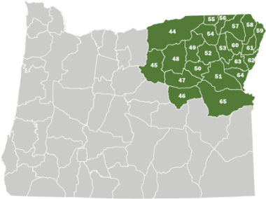 A map of Oregon with the Northeast Area shaded in green