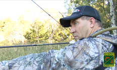 Turkey hunting with a bow