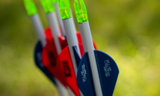 photo showing nock end of several photos