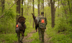 photo of two successful turkey hunters carrying their birds