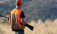 image of a solitary pheasant hunter on a grassy ridge