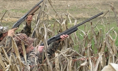 Two hunters in a blind taking aim at some flying birds.