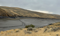 Thief Valley Reservoir near North Powder, Oregon is used for irrigation and recreation. In this 2024 photo, the reservoir is completely drained revealing a muddy, brown lake bottom with a meandering stream running through it. Sage brush and cheat grass in the foreground and background. Photo by ODFW, 2024.