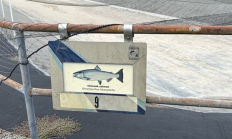 Salmon River Fish Hatchery hero.jpg