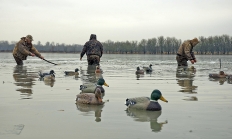 Duck decoys _Mud Lake SIWA