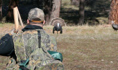 050_talkin_turkey_odfw