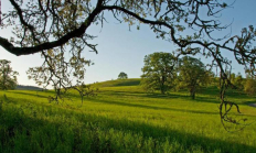 Finley Muddy Creek Area. Photo by George Gentry, USFWS