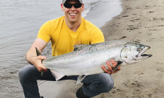 fish, springer, chinook