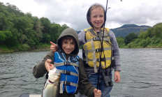 Shad_Umpqua_Cooper_Hedgecock