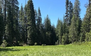 August 2025 Field Report hero.jpg