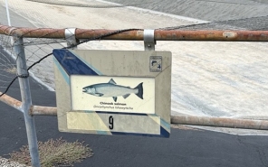 Salmon River Fish Hatchery hero.jpg