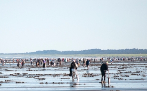 clatsop_beach_matthew_hunter_odfw.jpg