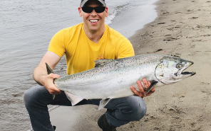 fish, springer, chinook