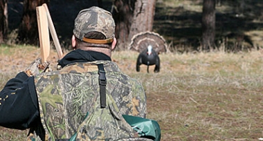 the back of a man who is looking ahead at a turkey decoy