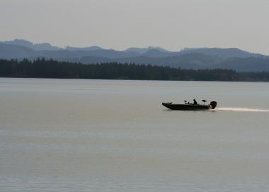 a boat powers across the lake at Fern Ridge