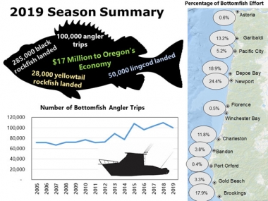 2019 bottomfish season summary