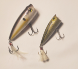 image of popper lures used for bass fishing