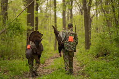 photo of two successful turkey hunters carrying their birds