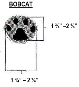 illustration showing the size of a bobcattrack