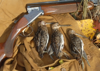 photo showing three harvested snipe with shotgun