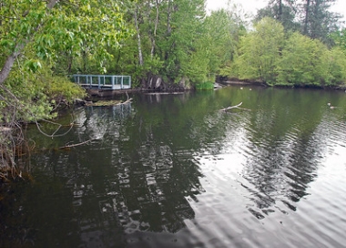 Reinhart Pond