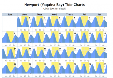 screen shot of online tide chart