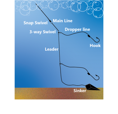 illustration of rig for surfperch fishing