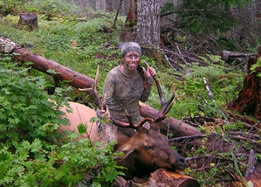 Hunter with bull elk in the lush forest of NW Oregon.