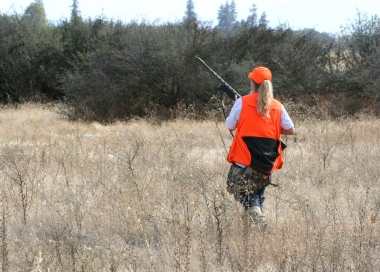 A hunter wearing hunter orange really stands out in grassy field.