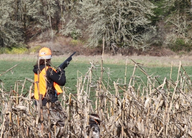 Hunter standing in brushy pheasant habitat.
