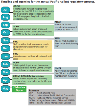 Annual Pacific Halibut regulatory process timeline