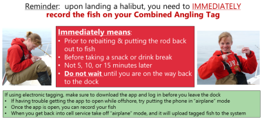 reminder to anglers to immediately tag any halibut landed