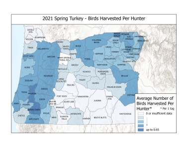 Average turkeys harvested per hunter