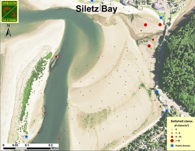 Siletz Bay clamming crabbing map