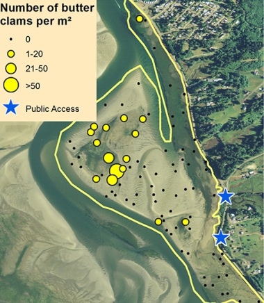 Netarts Bay clamming map