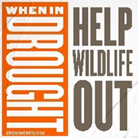 When in drought, help wildlife out