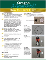 Photos and text about how to dig razor clams