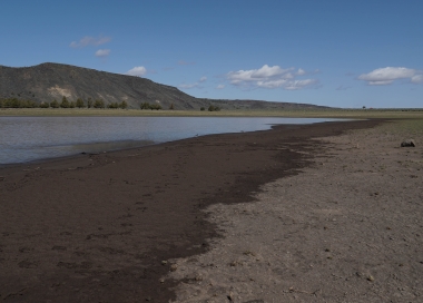 shoreline of Priday Res during drought